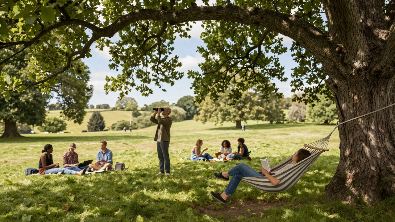 What Counts as an Outside Activity? A Guide to Outdoor Living